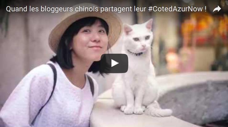 Vidéo de la bloggeuse chinoise Wen Jing