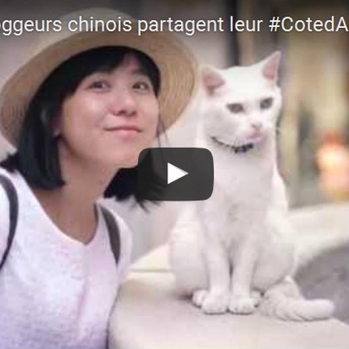 Vidéo de la bloggeuse chinoise Wen Jing